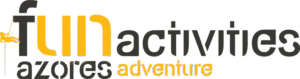 Fun Activities