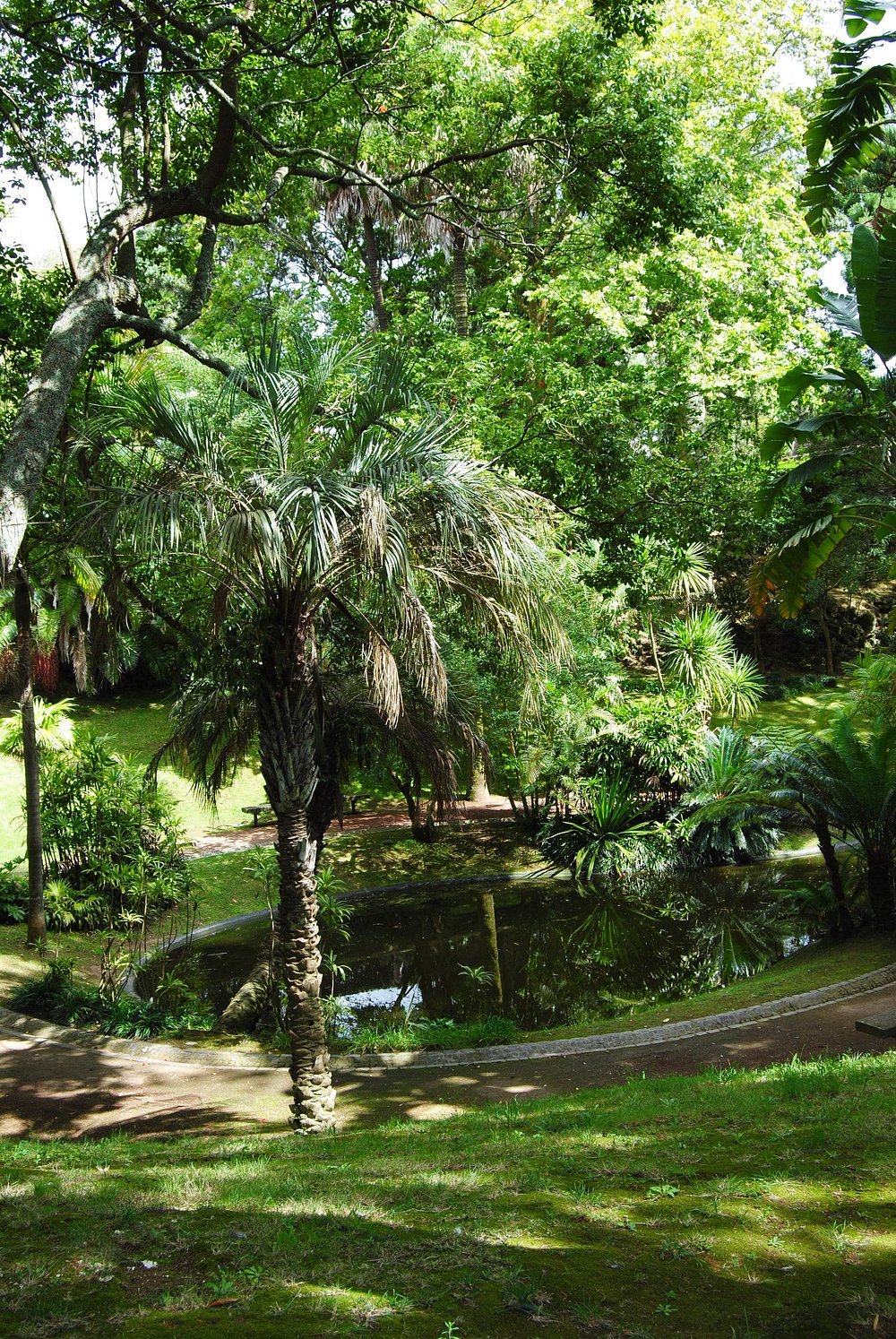 António Borges Garden in Ponta Delgada