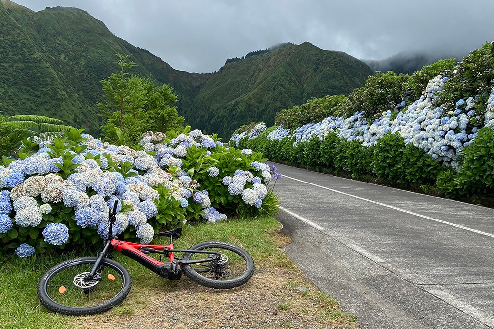 Uma bicicleta elétrica vermelha está estacionada ao longo de uma estrada em Sete Cidades, na ilha de São Miguel, rodeada por grandes arbustos de hortênsia azul